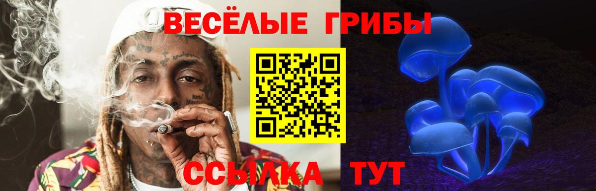 Новокузнецк  дарнет шоп  Вход с VPN  Галлюциногенные грибы Cubensis  Псилоцибиновые грибы GOLDEN TEACHER 